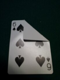 Bicycle speciaal blank-face