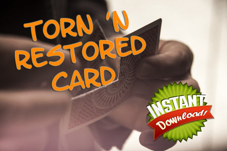 Torn &#039;n Restored card