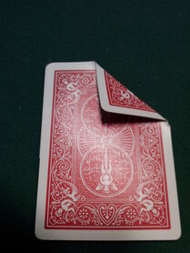 Bicycle speciaal rood-rood