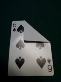 Bicycle speciaal blank-face